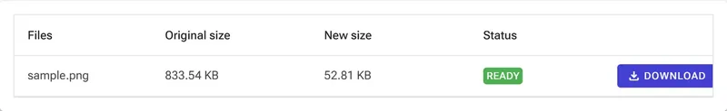 Convert and download results