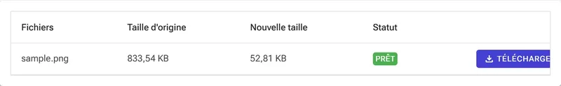 Convertir et télécharger les résultats