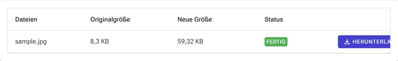 Ergebniszeile mit der neuen Dateigröße, dem Status Fertig und der Schaltfläche Herunterladen