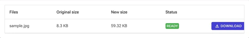 Result row showing the new file size, Ready status, and Download button