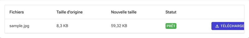Ligne de résultat affichant la nouvelle taille du fichier, le statut Prêt et le bouton Télécharger